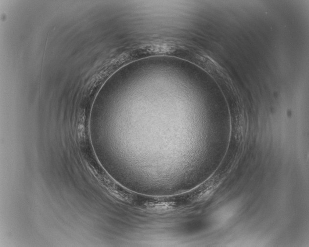 X0000057090553200509120922