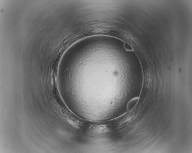 X0000057090554200509120922