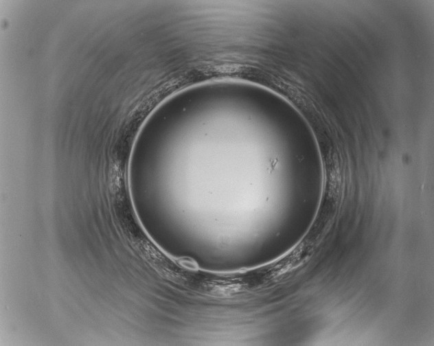 X0000057090555200509120922