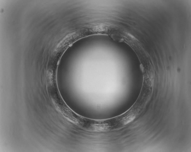 X0000057090556200509120922