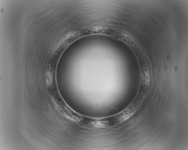 X0000057090558200509120922