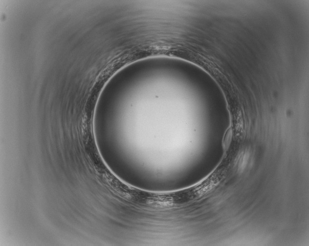 X0000057090559200509120922