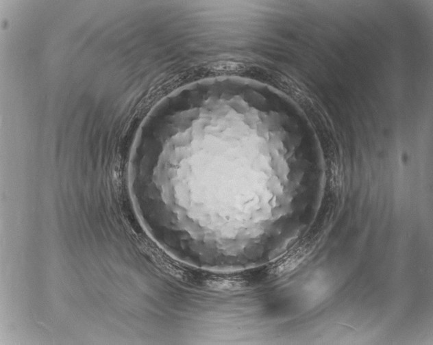 X0000057090561200509120922