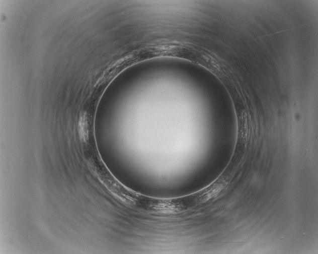 X0000057090562200509120922