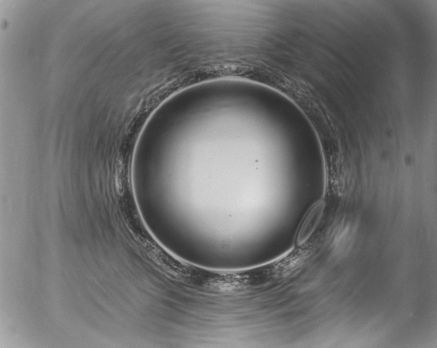 X0000057090563200509120922