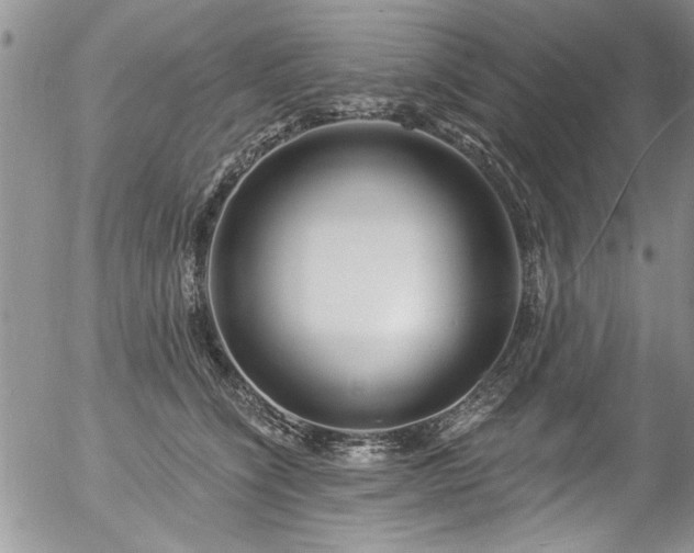 X0000057090564200509120922