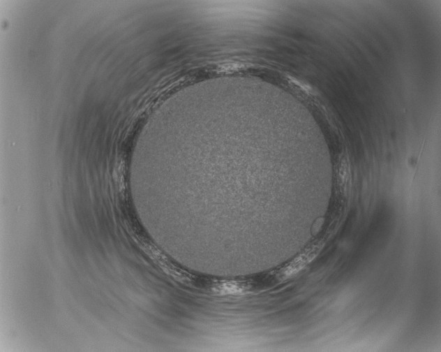 X0000057090565200509120922