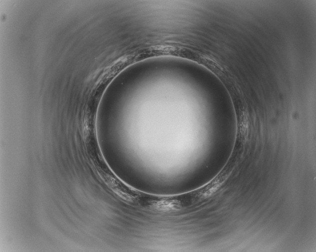 X0000057090566200509120922