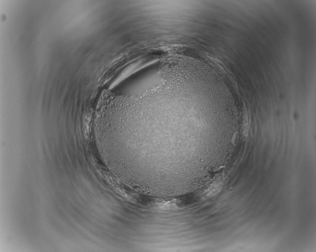 X0000057090569200509120922