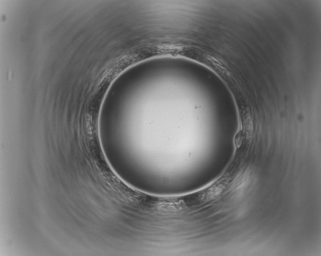 X0000057090571200509120922