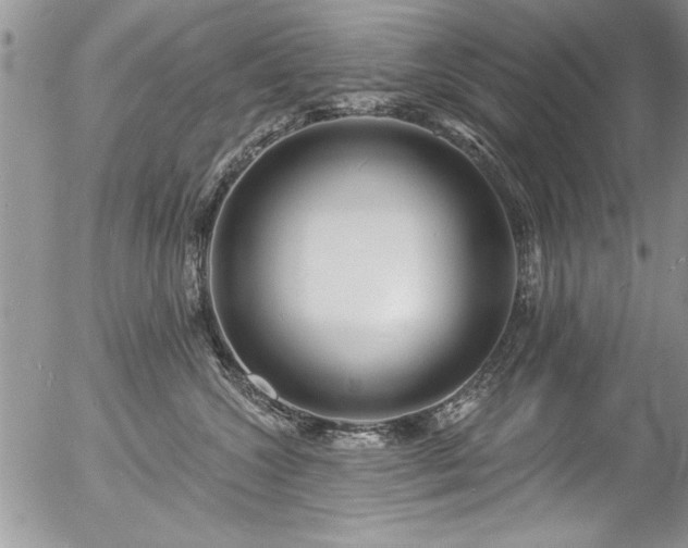 X0000057090572200509120922