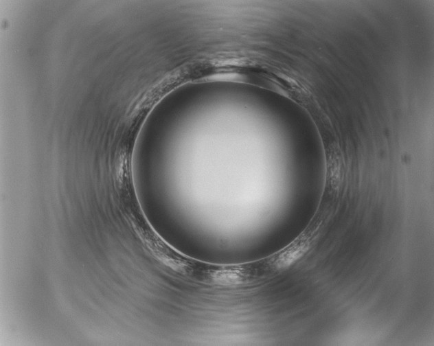 X0000057090574200509120922