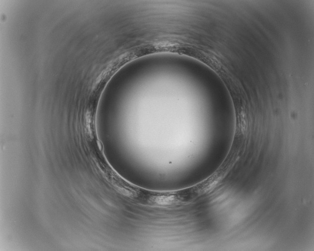 X0000057090575200509120922