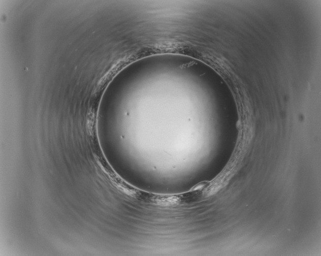 X0000057090576200509120922