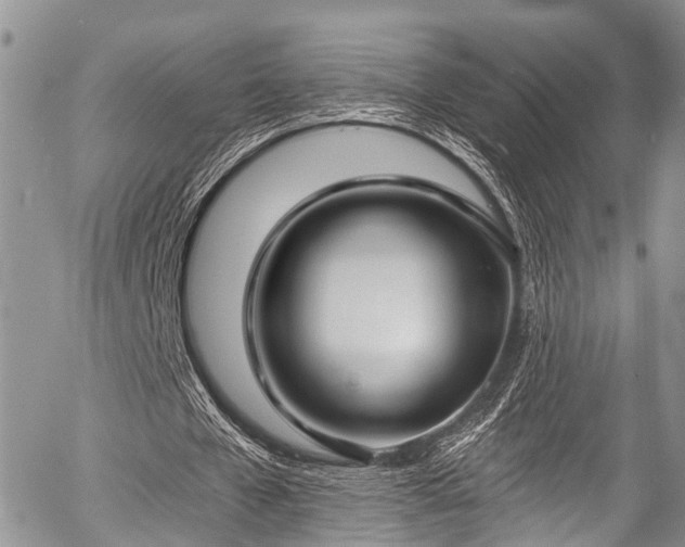 X0000057090577200509120921