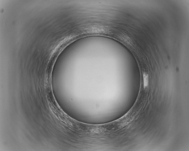 X0000057090579200509120921