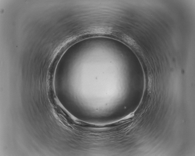 X0000057090580200509120921