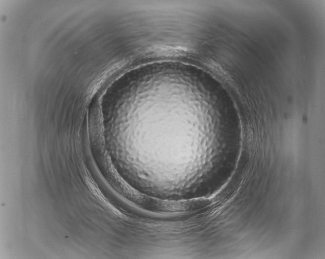 X0000057090581200509120921