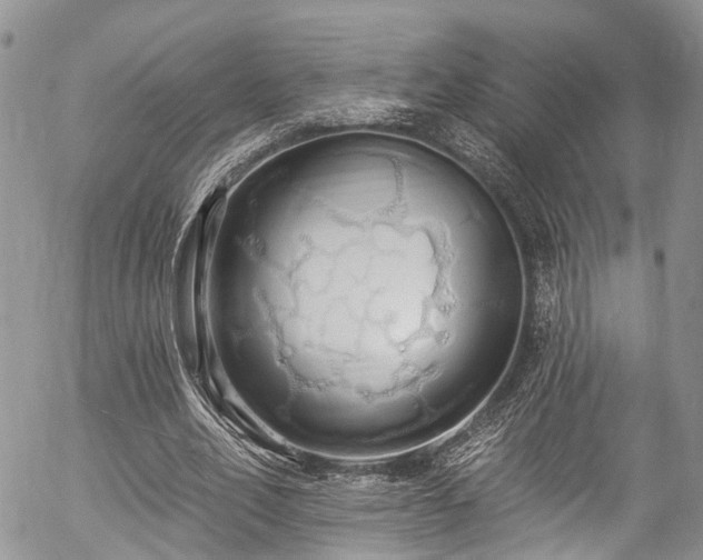 X0000057090582200509120921