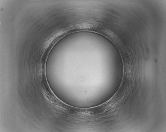 X0000057090583200509120921