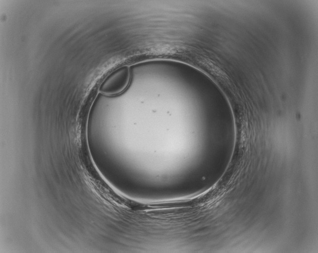 X0000057090584200509120921