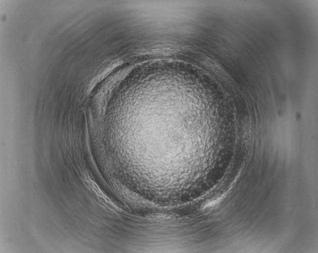 X0000057090585200509120921