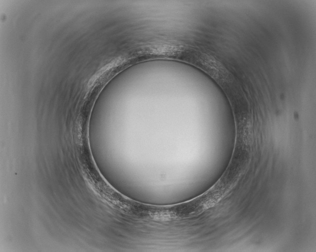 X0000057090587200509120921