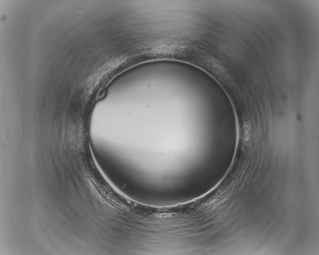 X0000057090588200509120921