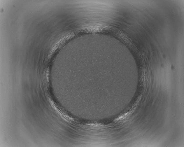 X0000057090590200509120921