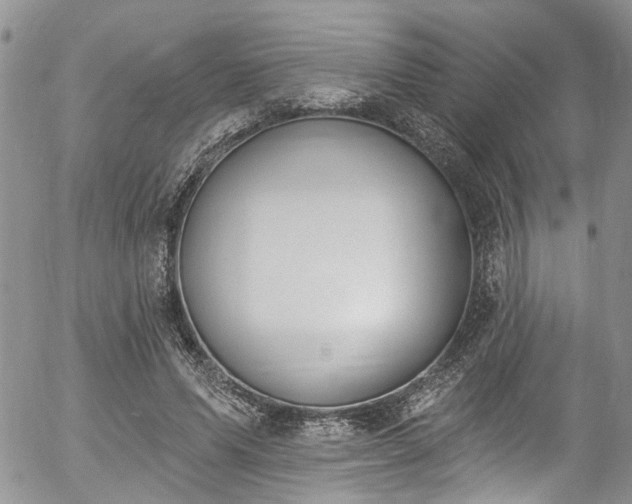 X0000057090591200509120921