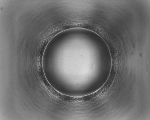 X0000057090593200509120921