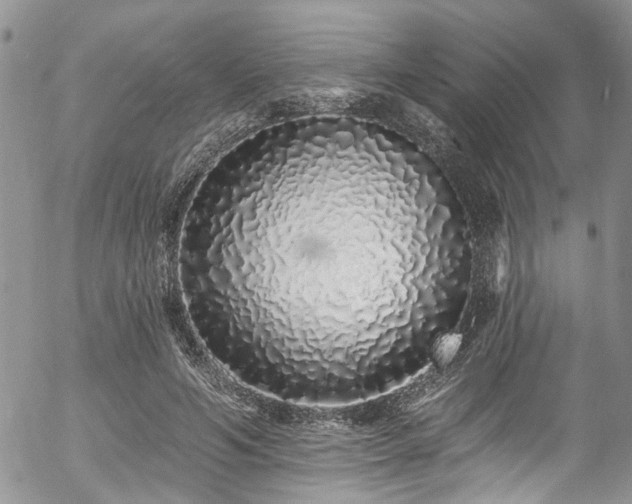 X0000057090594200509120921