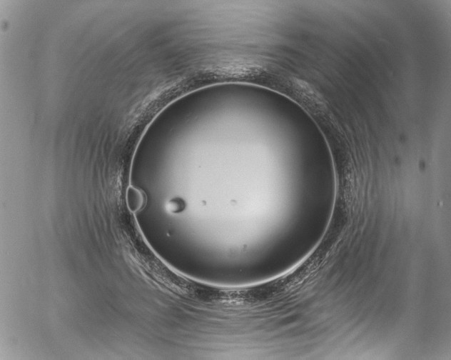 X0000057090596200509120921