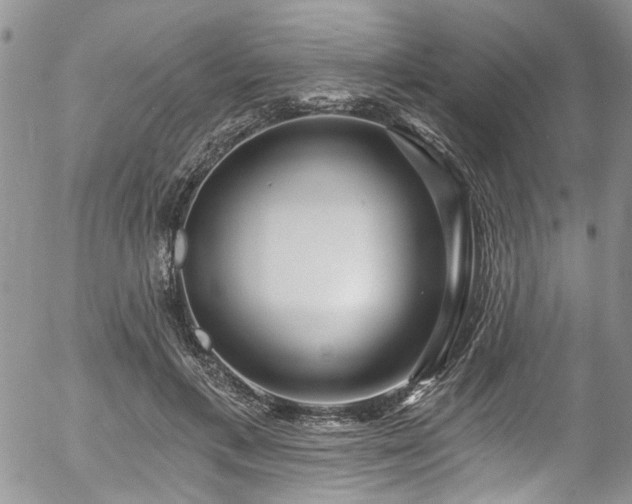 X0000057090597200509120921