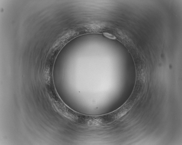 X0000057090599200509120921