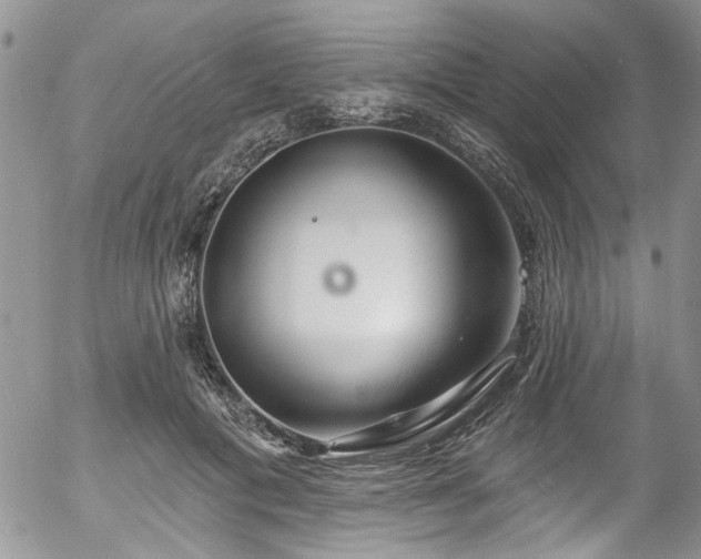 X0000057090601200509120921