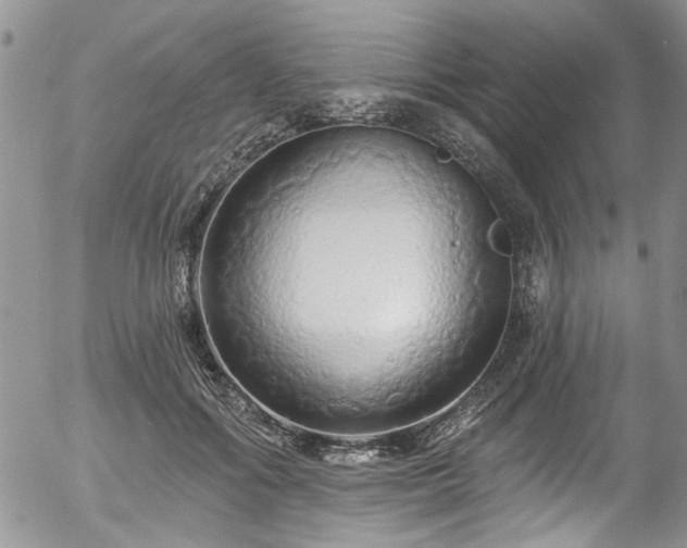 X0000057090602200509120921