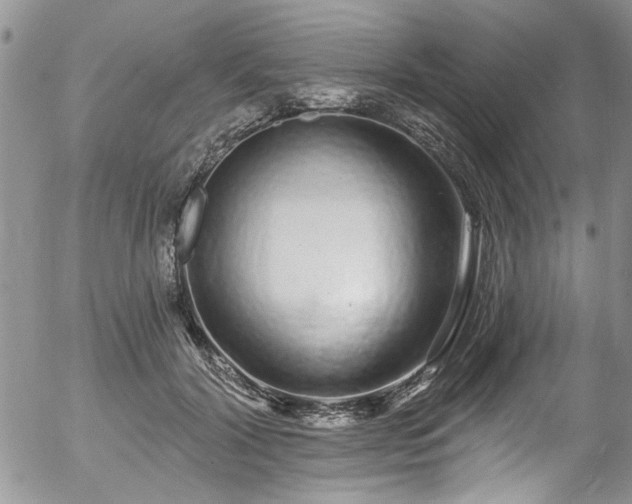 X0000057090604200509120921