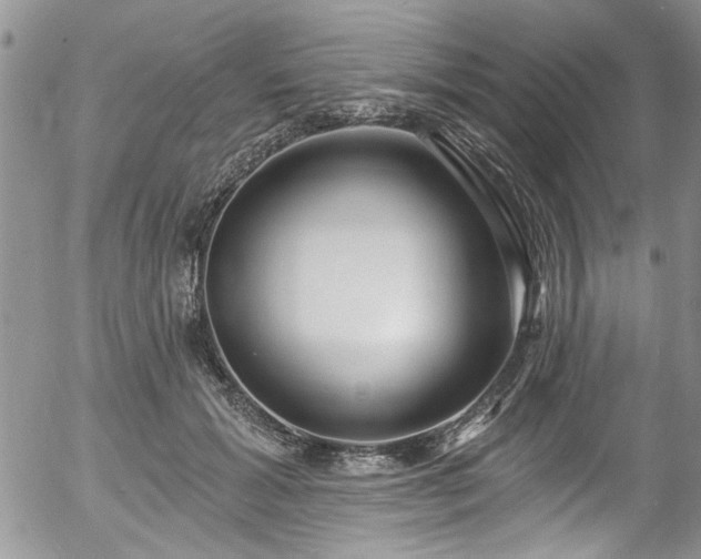 X0000057090605200509120921