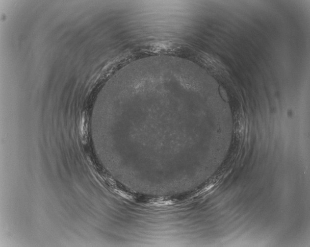 X0000057090607200509120921