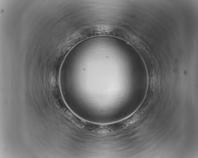 X0000057090608200509120921