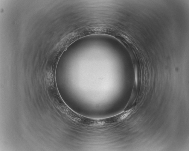 X0000057090609200509120921