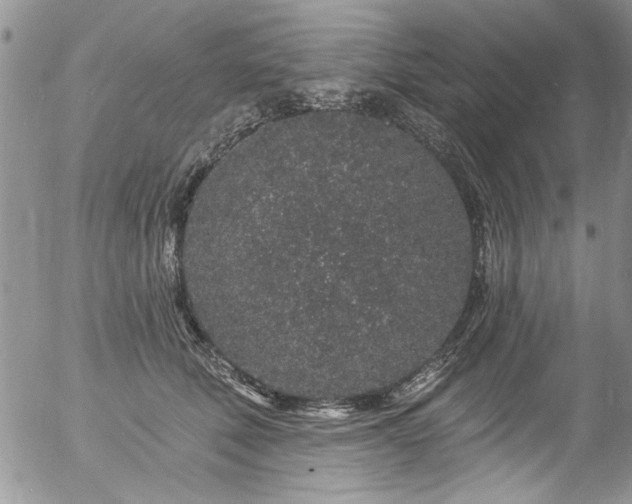 X0000057090610200509120921