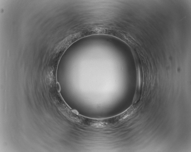 X0000057090611200509120921