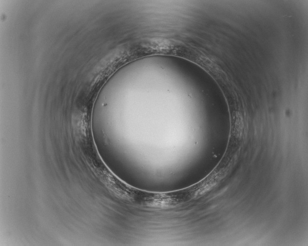 X0000057090612200509120921