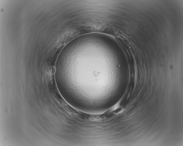 X0000057090613200509120921