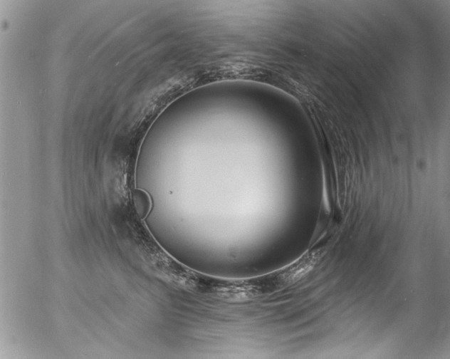 X0000057090615200509120921