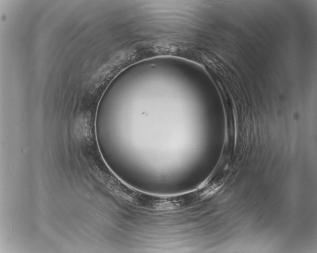 X0000057090616200509120921