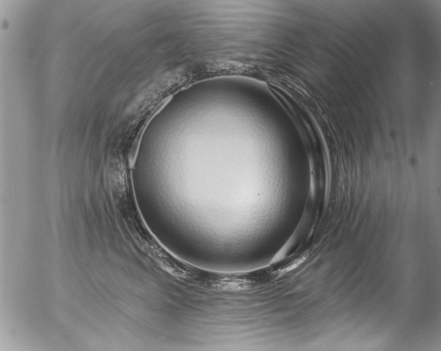 X0000057090617200509120921