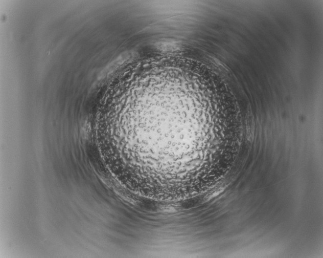 X0000057090618200509120921